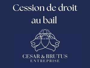 Local commercial Cour Emile Zola