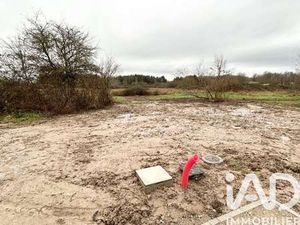 Vente Terrain à Pruniers-en-Sologne (41200) : à vendre / 763m² Pruniers-en-Sologne