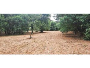 Terrain à bâtir à Salles (33770)