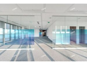 Location Local Professionnel 318m²