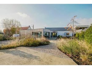 Surface commerciale à vendre à Langestraat 31 Schorisse (RBU93069)