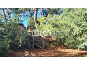 Vente maison 5 pièces 76.2 m² à Lège-Cap-Ferret (33950)  1 251 000 €