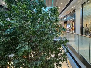 Vente commerce 180 m² Saint-Pierre-d'Irube (64990)