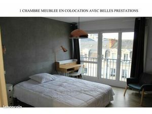 Centre ville   beau T3 meublé  proche gare et République