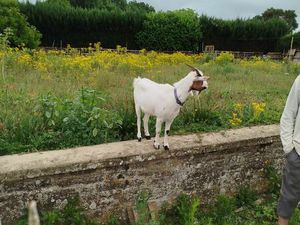 Recherche location maison