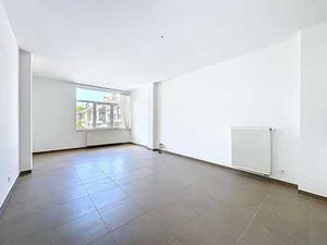 Appartement lumineux 1 chambre