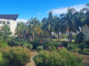 Joli studio a boucan canot