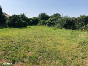 Terrain constructible