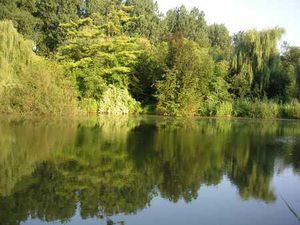 Magnifique bloc de plusieurs étangs et bois!