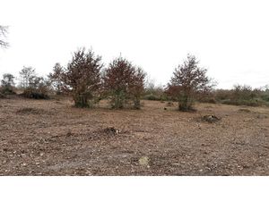Superbe terrain à batir de 3000 m2.