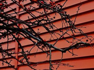 Pied-à-terre privatif -RECHERCHE