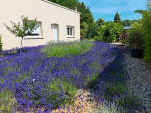 Maison meublée à louer