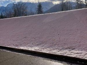 2 pièces avec terrasse