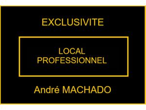 EXCLUSIVITÉ AGEN (47) - LOCAL PRFESSIONNEL - 80M² - CENTRE VILLE - PROFESSION LIBERALE - T