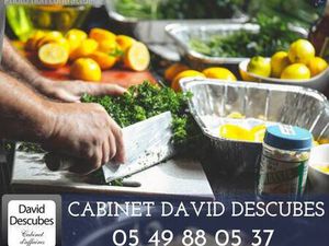 CABINET DAVID DESCUBES