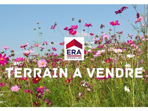 TOULOUSE PATTE D OIE BOURRASSOL TERRAIN Rue Calme