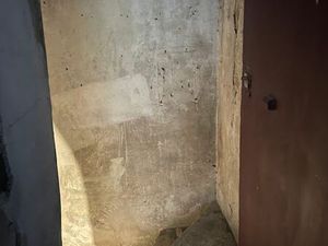 Grande cave Paris XV rue des Entrepreneurs