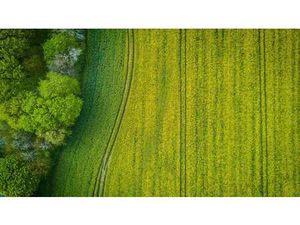 Vente Terrain à Briec (29510) : à vendre / 290157m² Briec