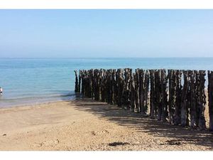 T3 avec vue mer sur le Sillon