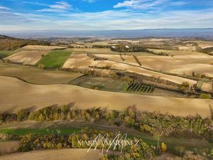 Terrain plat et arboré vue dégagée à La Cassaigne