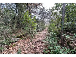 Achat Terrain 29 186m² ST MAXIMIN LA STE BAUME 83470