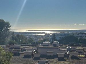 Superbe 4 pièces rénové