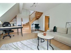 Duplex 1 pièce 49 m²