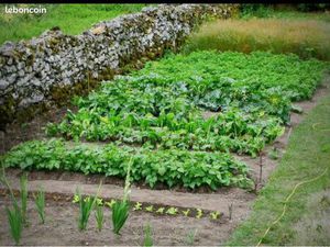 Location jardin potager 500m2