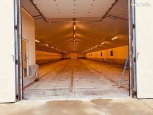 Batiment 1000 m2 isolé  bétonné