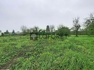 Terrain Vair-sur-Loire à vendre