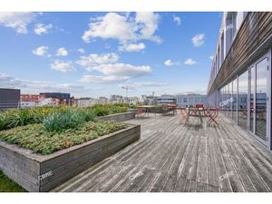 Location Local Professionnel 279m²