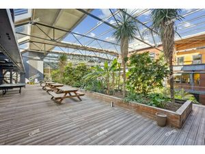 Location Local Professionnel 1 256m²