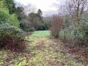 Annonce vente terrain terrain de 1335m2 à Le teich (33470) - ParuVendu.fr ref 992784114163