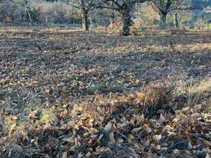 Vente Terrain à Sanilhac (07110) : à vendre / 1430m² Sanilhac