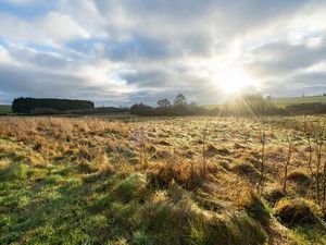 Terrain agricole à vendre à A la fange du Meunier 0 Juseret (VBD66891)