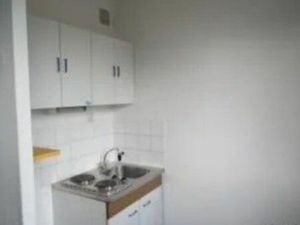 Location appartement 1 pièce 26 m² à Nancy (54000)