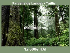 Parcelle de Landes