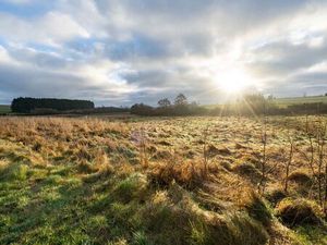 Terrain à vendre à Juseret € 129.000 (LIY9X) - ERA B-Lux (Bastogne) | Zimmo
