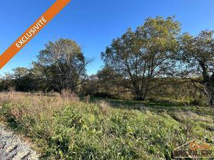 Terrain constructible viabilisé à vendre