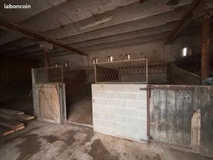 Ecurie / Box à chevaux / Pâture