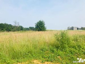 Terrain 4574 m² RIOZ