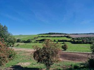Terrains agricoles - Thy-le-Bauduin (2ha23a56ca) - LOT 2