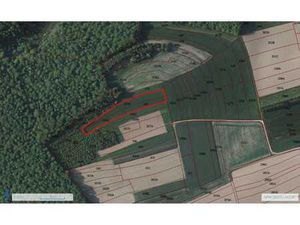 Terre agricole de 6382 m²