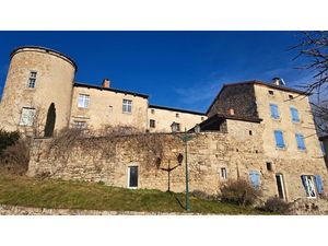 Château avec 4 appartements et 3 gîtes