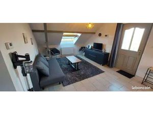 Meublé T3 mansardé avec terrasse libre mi janvier