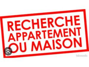 Recherche T2 en Essonne ou Val de Marne