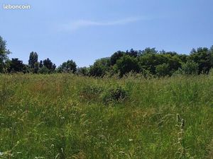 Loue (vend parcelle agricole)