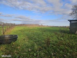 Terrain 7600 m² Forges-les-Bains