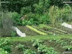 Jardin potager location
