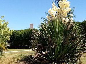A louer maison avec jardin et garage